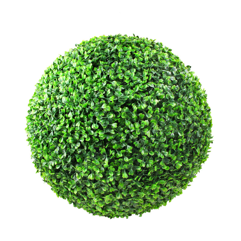 Ophelia & Co. Round Boxwood Topiary & Reviews Wayfair
